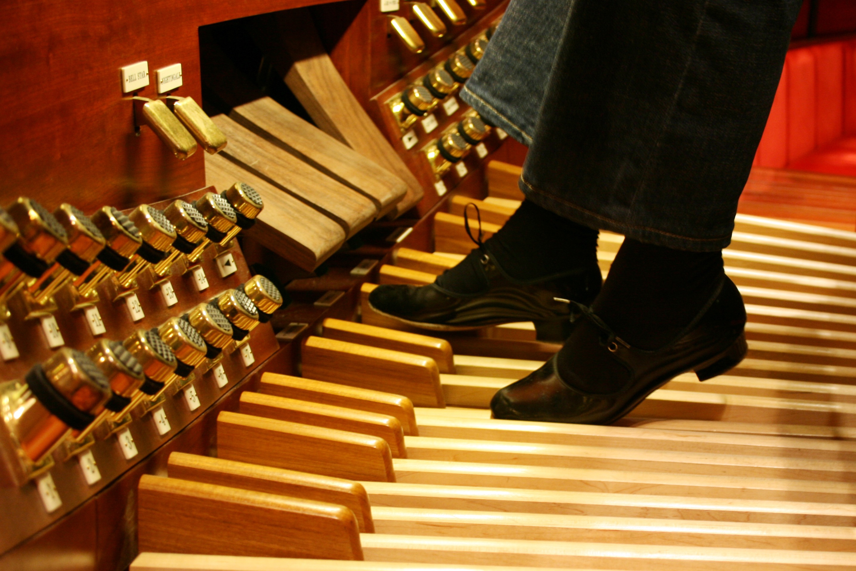 Organ 4