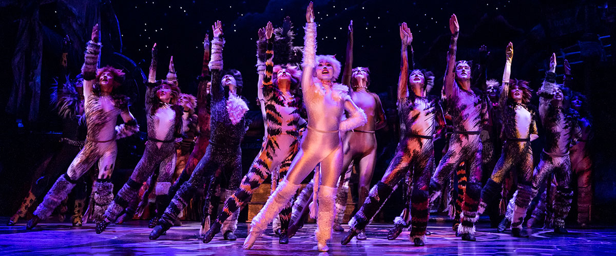 The company of the 2021-2022 national tour of CATS (Photo By Matthew Murphy, Murphymade)